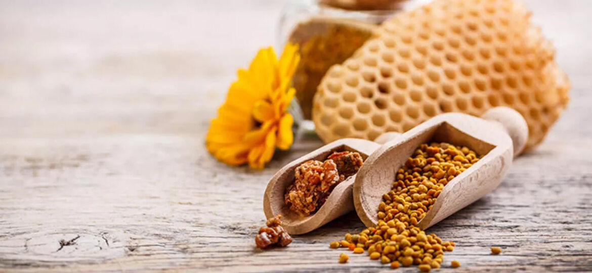 propolis nedir